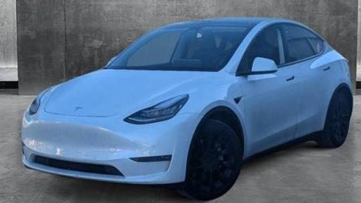 TESLA MODEL Y 2021 5YJYGDEE0MF084256 image